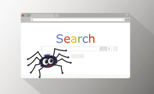google's spider crawler